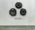 Click for 1 image(s) for this accession. FRUIT